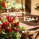 Donna Rosa Hotel 3*
